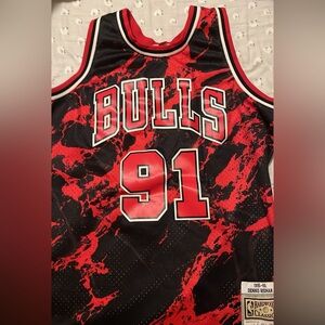 95-96 bulls Rodman
